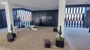 Trend Google: cotral
