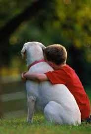 Resultado de imagem para imagens de animais e crianças