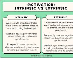 Image of intrinsic motivation example