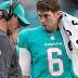 How satisfied are you with the Dolphins? (Sorry, we had to ask ...