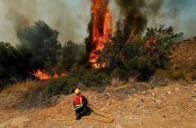 Crise de incêndios florestais na Europa se desloca para a Grécia