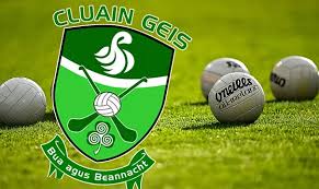 Michael Flynn inspires Clonguish to first title since 2009