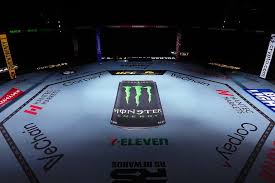 ufc fight night