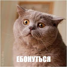 images?q=tbn:ANd9GcTAS7iZjYHR6nI5_qo1Ek5GmQHAfjP0ZEAQMwH_Md03SldHIvzGmw