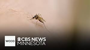 CBS News - News update