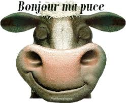 Résultat de recherche d'images pour "gifs garfield bisous"