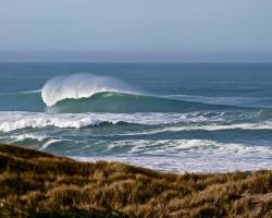 Image of Sonoma County California surfing