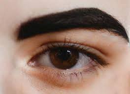 Image result for cara melebatkan bulu kening