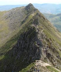 Picture of Arête