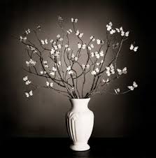 Resultado de imagen de fotògraf Chema Madoz