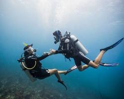 Image of Couple scuba diving