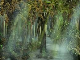 Résultat de recherche d'images pour "biljana djurdjevic"