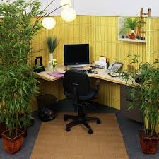 Resultado de imagen para feng shui oficina