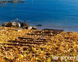 Lago Maggiore, Italia, foglie d'autunno