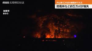 Yahoo!ニュース - News update