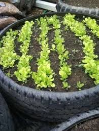 Image result for flowers on tires