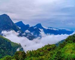 Image of Knuckles Mountain Range