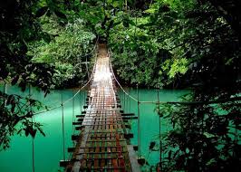 Image result for costa rica