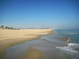 Image result for guardamar beach