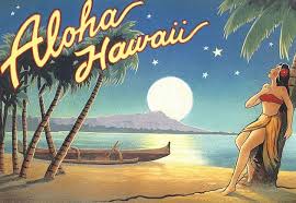 Image result for hawaii