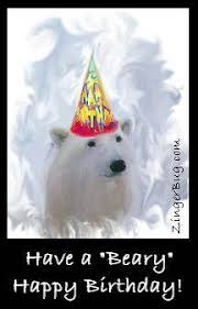Image result for baby polar bears memes