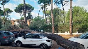 Corriere di Bologna - News update