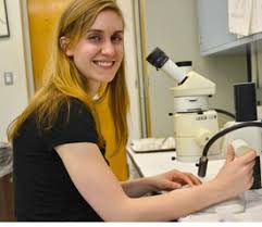 Image result for Entomology Studies