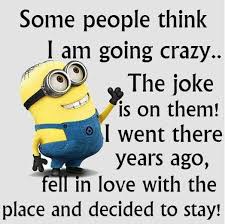 Image result for images of crazy people totally nuts