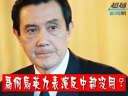 Image result for 石之瑜  洪秀柱