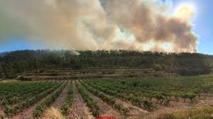 La Vanguardia - News update