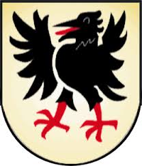Sven Schwager Stadionheft-Verwalter, SV Hochhausen, Fan, SV ... - 590_Wappen