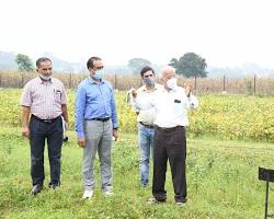 Image of Field visit at Birsa Agricultural University