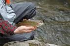 Top Trout Lures: Best Trout Fishing Baits of All Time Outdoor Life