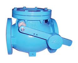 Mss Sp-71 Cast Iron Swing Check Valve with Bronze Disc Trim ...