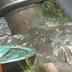 St. Pete takes heat for raw sewage problem