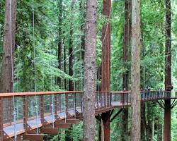 Image of Eureka California in Fall