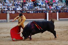 El Periódico de Aragón - News update