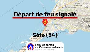 Incendies en France: Un Escargot Révèle le Secret? 🔥🐌 - Imagen principal del artículo