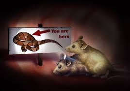 Résultat de recherche d'images pour "“We reserve the right to refuse service to anyone”"