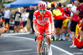 Pogačar out of the Vuelta a España after heavy crash on stage 8