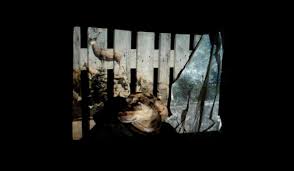 Image result for Arte electronico