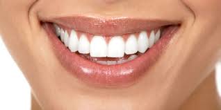 images?q=tbn:ANd9GcTCTIssAd9n2OhCizvEanSkM0V0zKOtyHjio7YIqqWPwTyoFkpWxQ