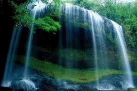 Résultat de recherche d'images pour "jolies images animees"