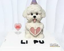 custommade pet cake with a photo and illustrationの画像