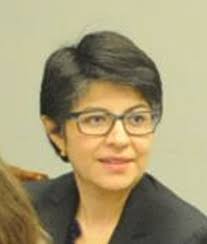 Andrea Saenz (above, at the June 15, 2011 Board meeting) was appointed &quot;Chief of Staff&quot; to the Board ... - 910234463