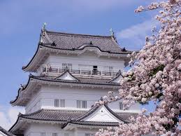 神奈川県の“行ってみたい＆好きな桜の名所”ランキング！ 2位「小田原城址公園」を抑えた1位は？【2026年調査】