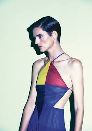 Résultat de recherche d'images pour "stella tennant"