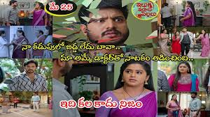 Illu Illalu Pillalu Today మే 25 ఎపిసోడ్: చందు గుండెబద్దలు.. వల్లీ కడుపులో బిడ్డే లేదని తెలిసిపోయిందయ్యో.. శ్రీవల్లే చెప్పేసింది