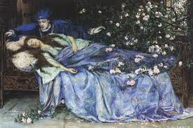 Image result for sleeping beauty