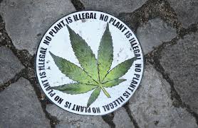 Resultado de imagen de Legalization